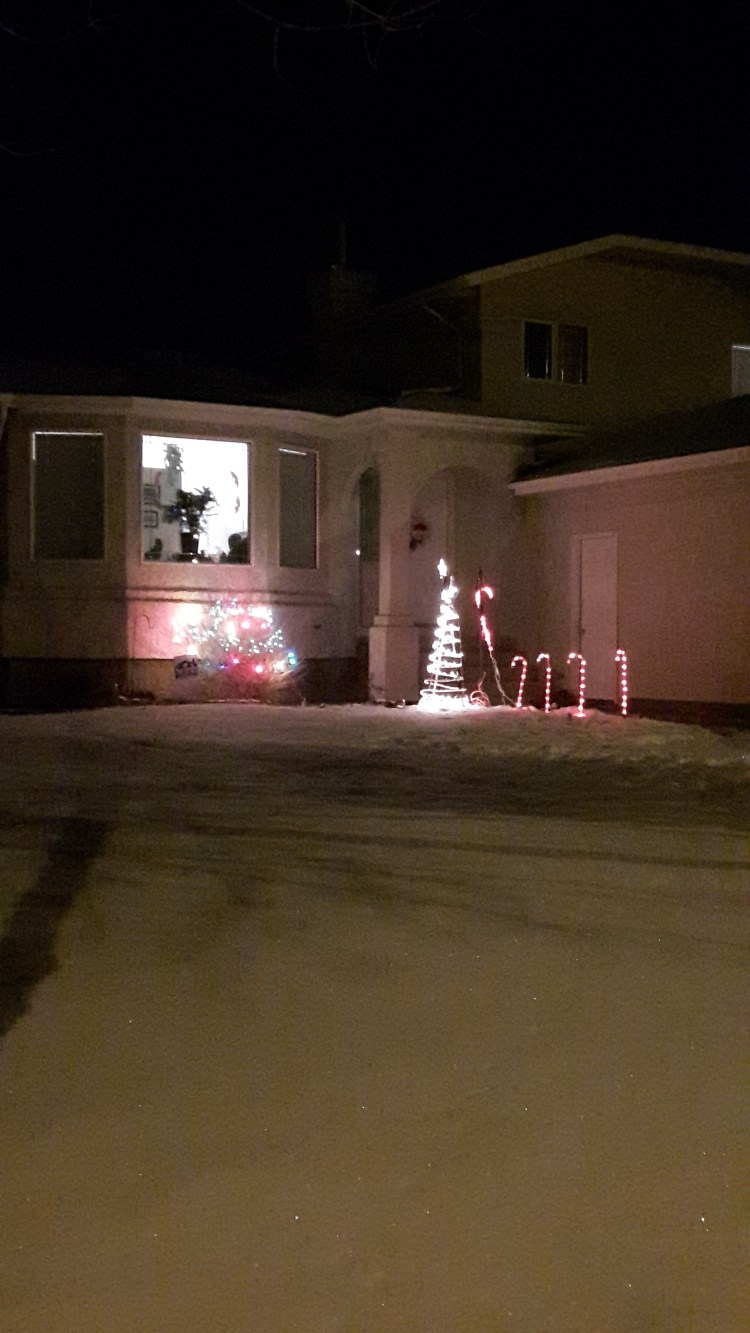 Candy Cane Lane